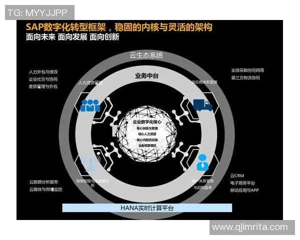 武汉篮球队防反战术创新探讨与实践分析全面解读